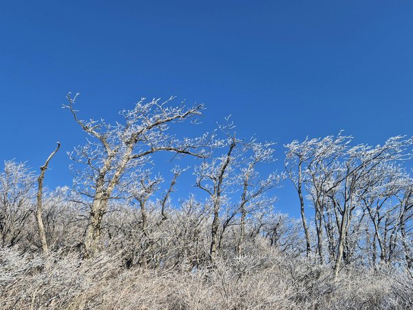 Comment une bonne hygiène de vie peut favoriser le bien-être au travail